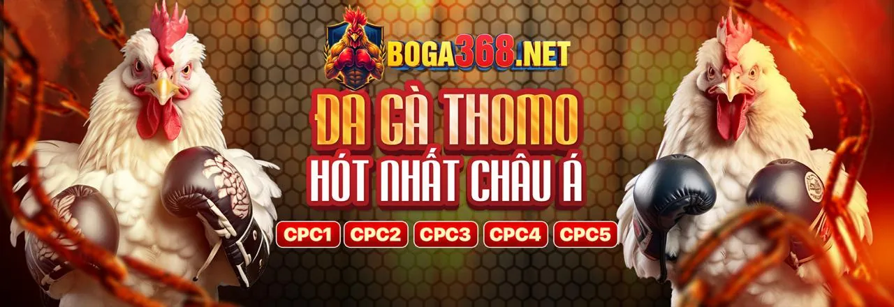 Sân đấu đá gà kịch tính tại WW888 trang chủ chính thức